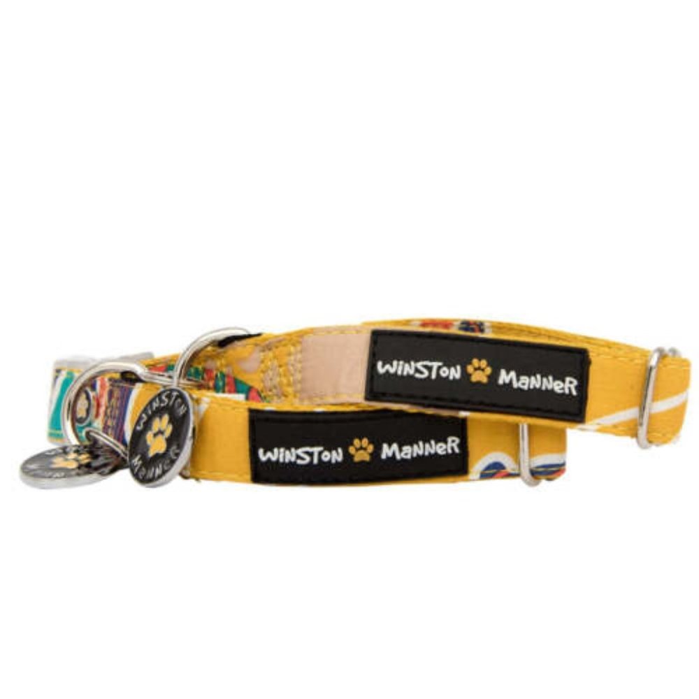 Winston Manner Designer Dog Collar in Go Troppo